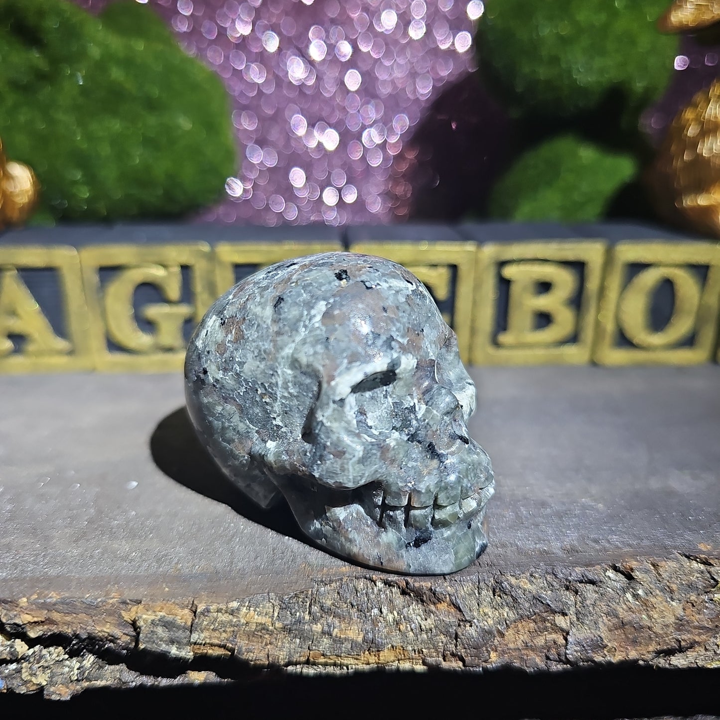 Yooperlite Skull