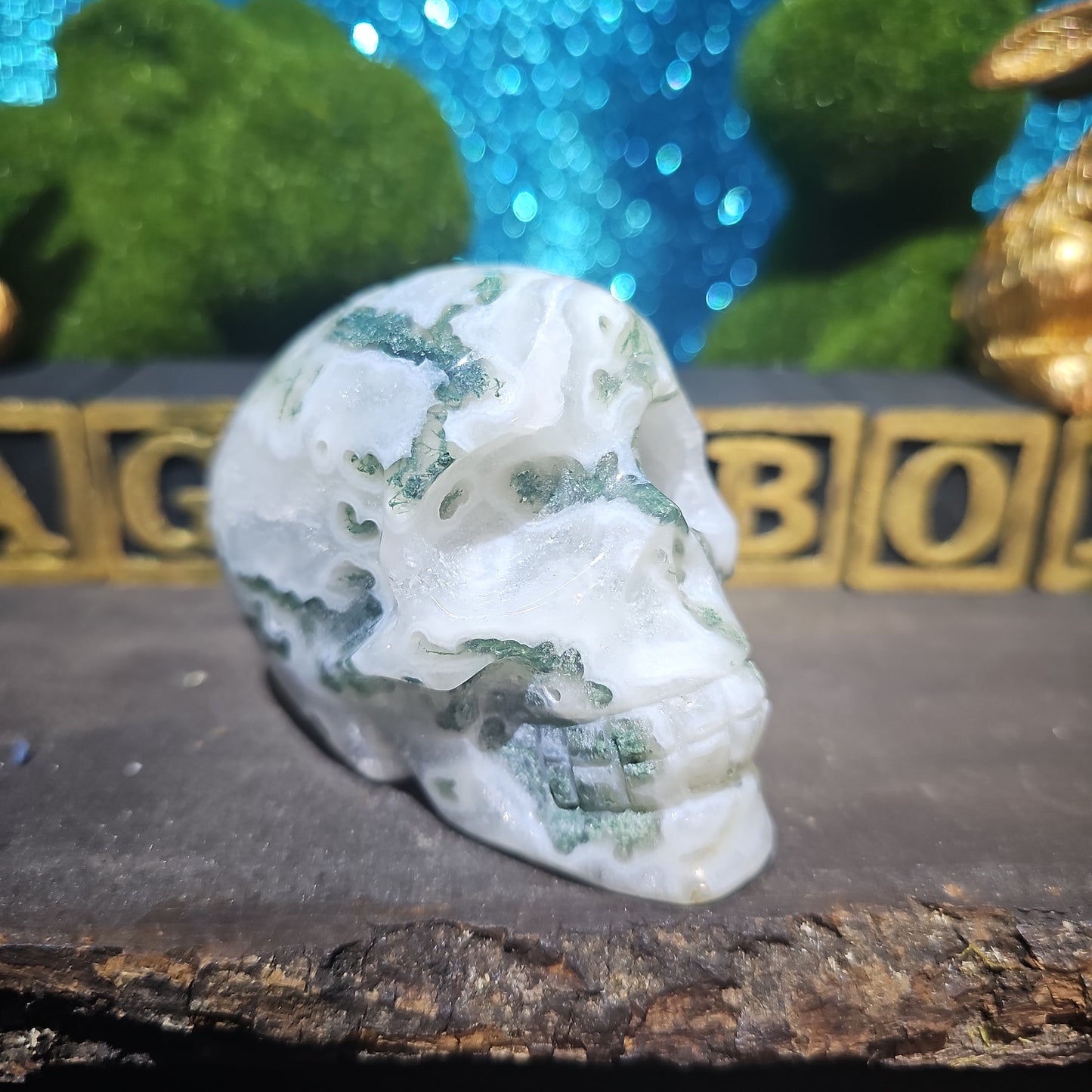 Moss Agate Skull