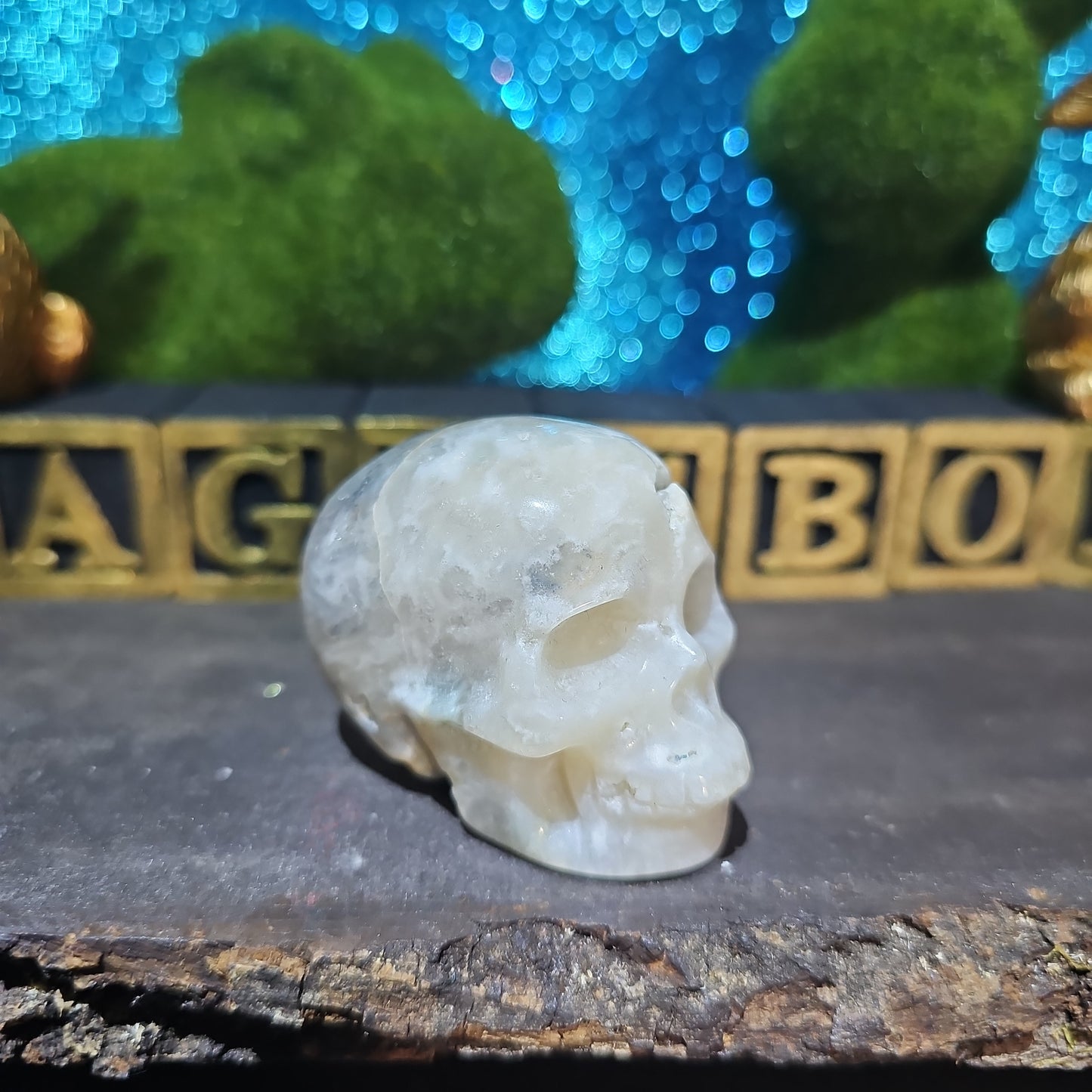 Caribbean Calcite Skull