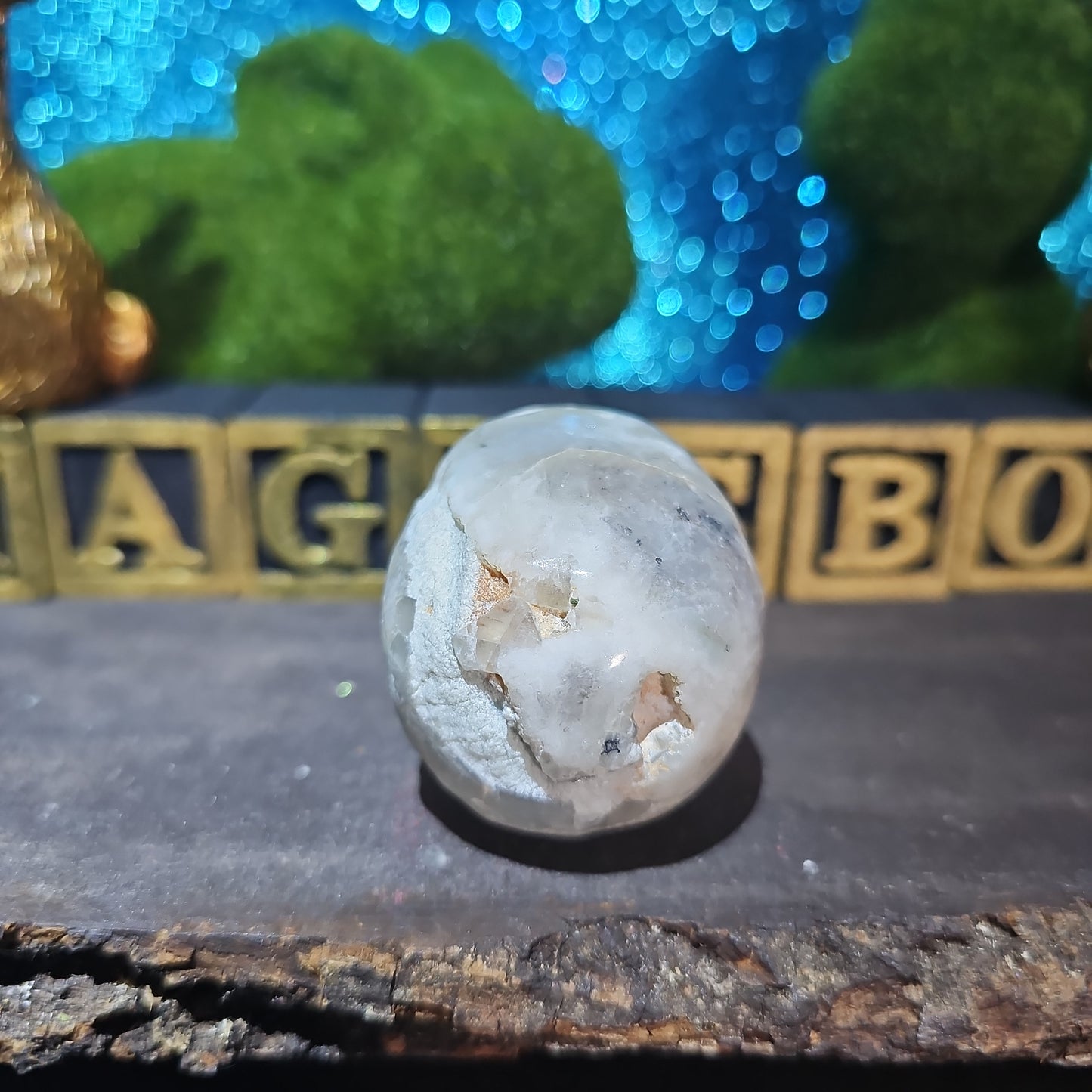 Caribbean Calcite Skull