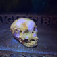 Caribbean Calcite with Flourite Skull