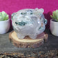 Moss Agate Pig