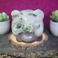 Moss Agate Pig