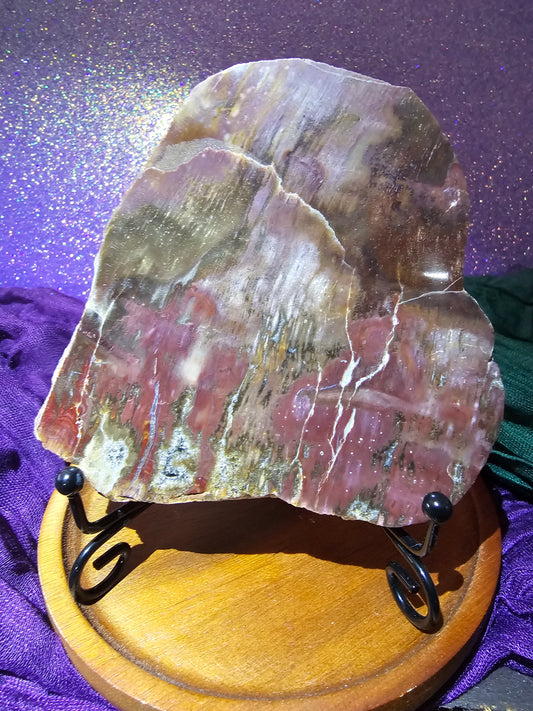 Petrified Wood Slab with stand