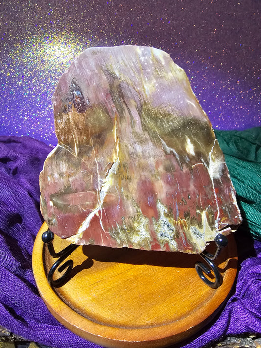 Petrified Wood Slab with stand