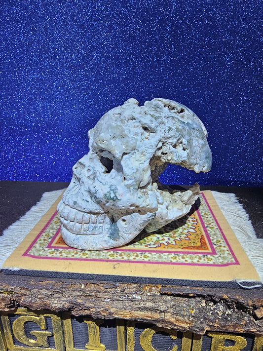 Moss Agate Skull