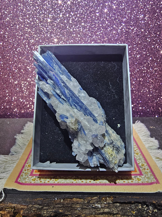 Raw Kyanite