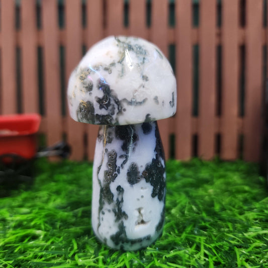 Tree Agate Mushroom - MagicBox Crystals