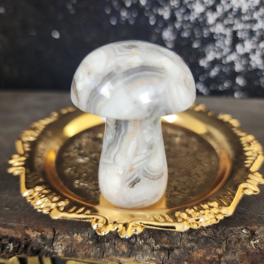 Agate Mushroom - MagicBox Crystals