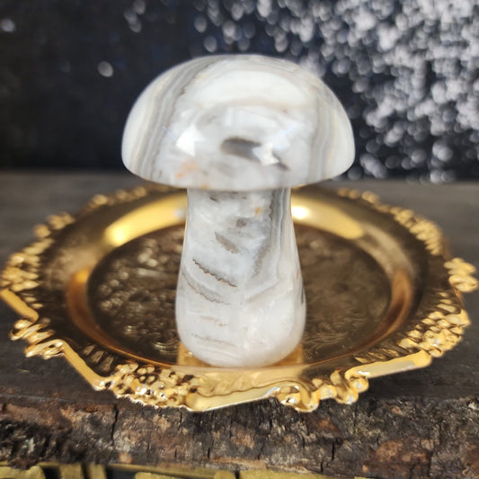 Agate Mushroom - MagicBox Crystals