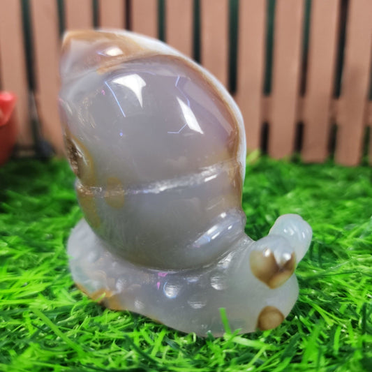 Agate Snail Carving - MagicBox Crystals
