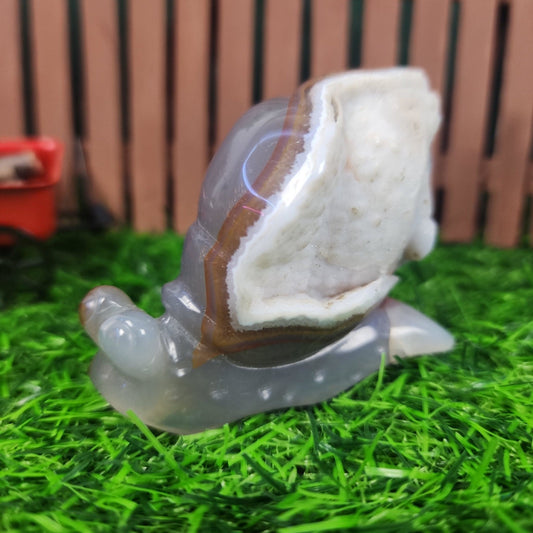 Agate Snail Carving - MagicBox Crystals