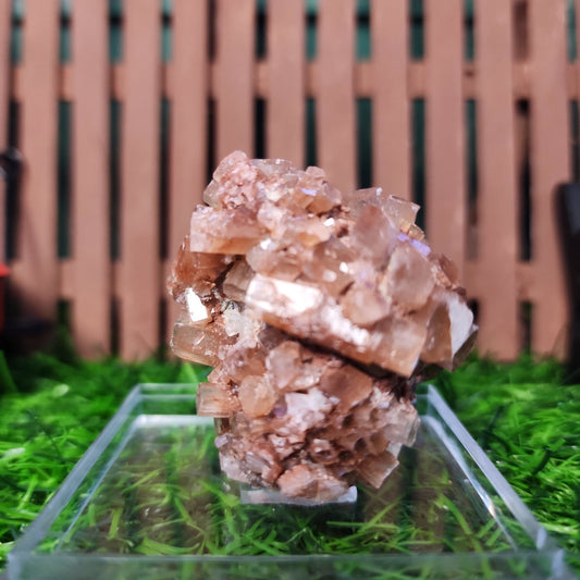 Aragonite Star Cluster - MagicBox Crystals