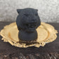 Black Chalcedony Tiger Head - MagicBox Crystals