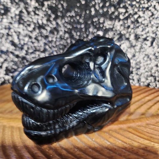Black Obsidian T-Rex Skull - MagicBox Crystals