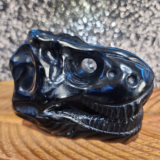 Black Obsidian T-Rex Skull - MagicBox Crystals