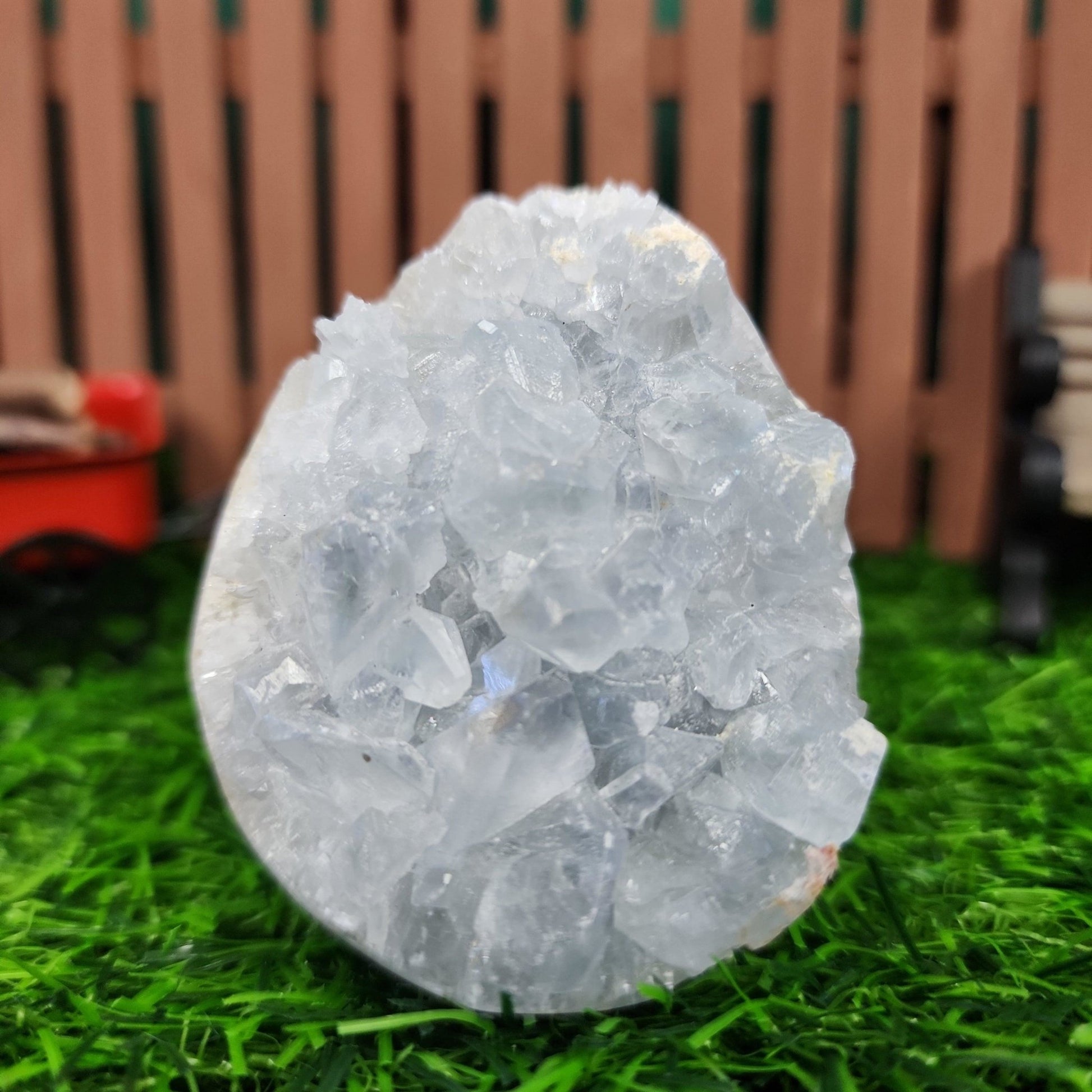 Celestite Geode - MagicBox Crystals