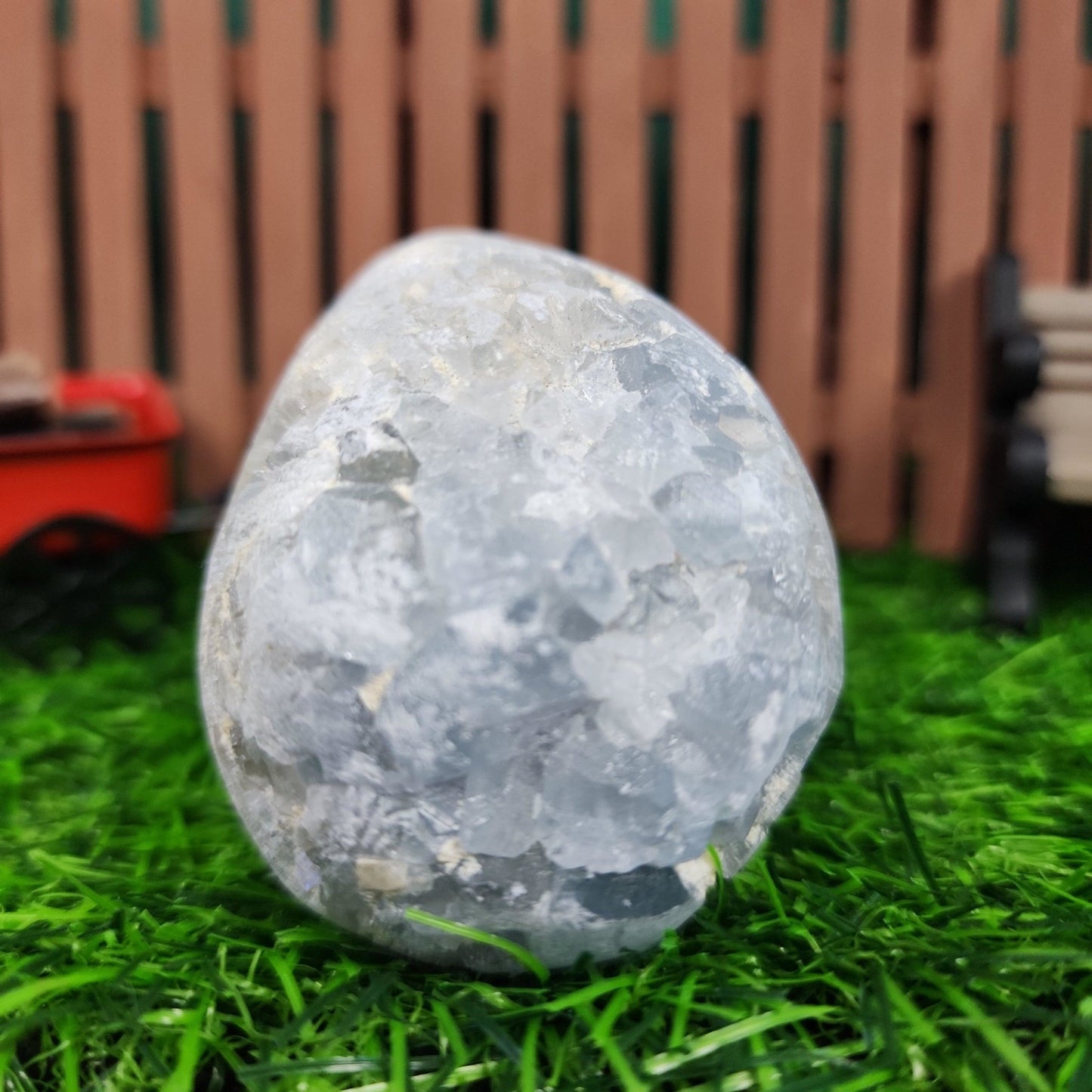 Celestite Geode - MagicBox Crystals