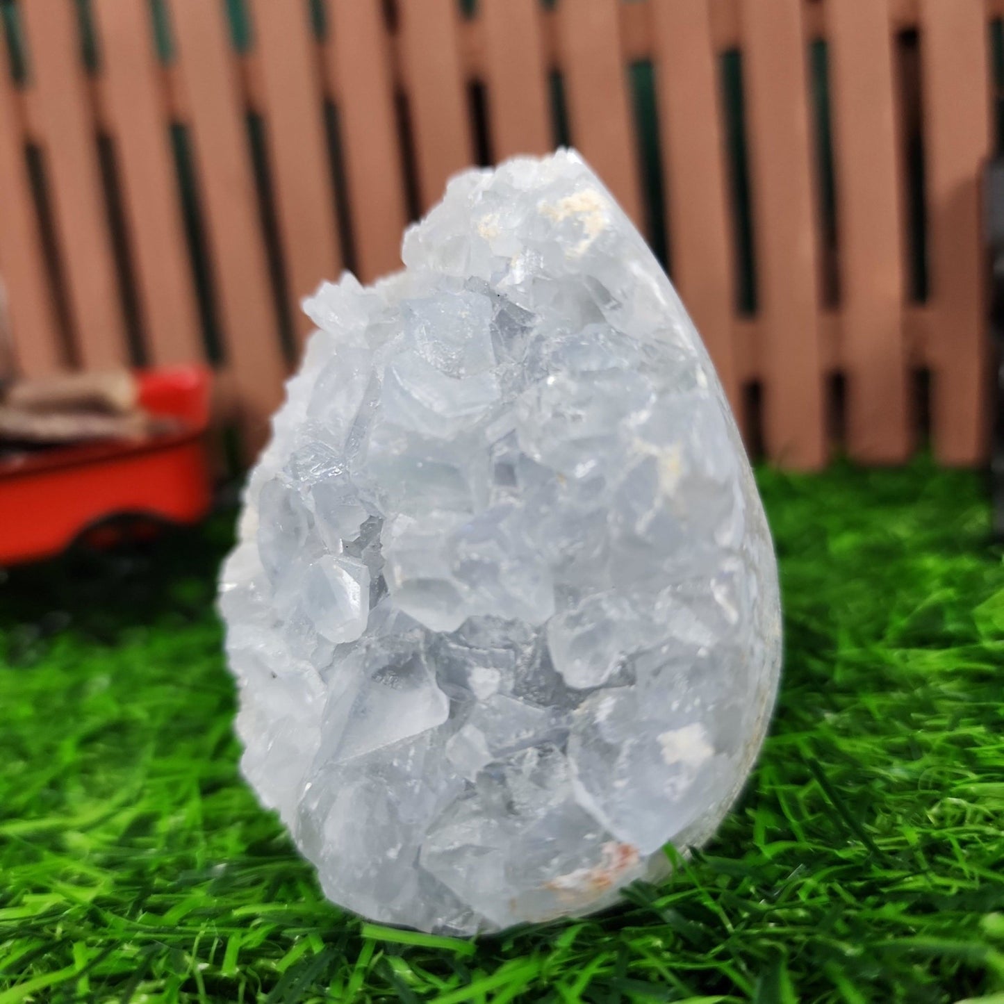 Celestite Geode - MagicBox Crystals