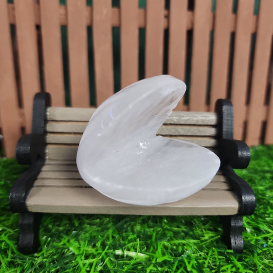 Clear Quartz Clam Shell - MagicBox Crystals