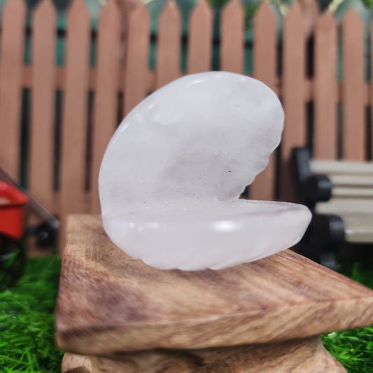 Clear Quartz Clam Shell - MagicBox Crystals