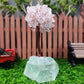 Clear Quartz Money Tree - MagicBox Crystals