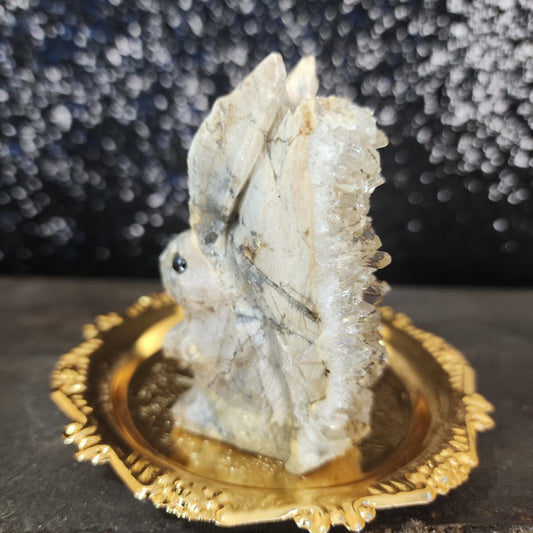 Clear Quartz Rabbit - MagicBox Crystals