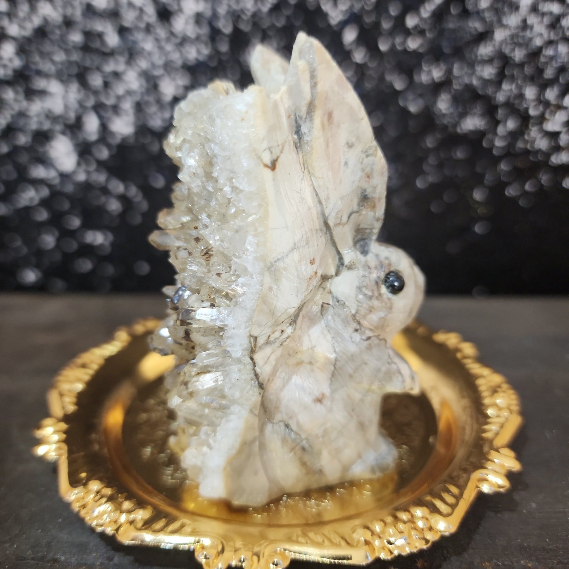 Clear Quartz Rabbit - MagicBox Crystals