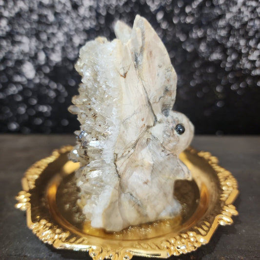 Clear Quartz Rabbit - MagicBox Crystals