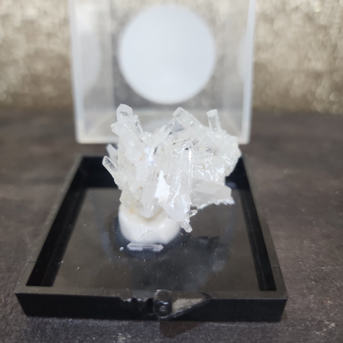 Clear Quartz Specimen - MagicBox Crystals