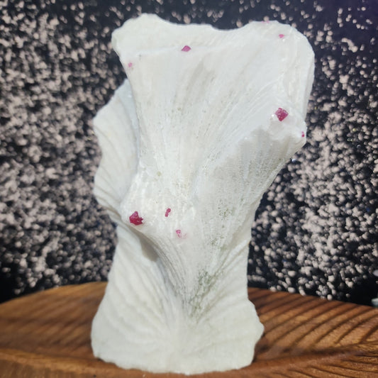 Coral with Ruby - MagicBox Crystals