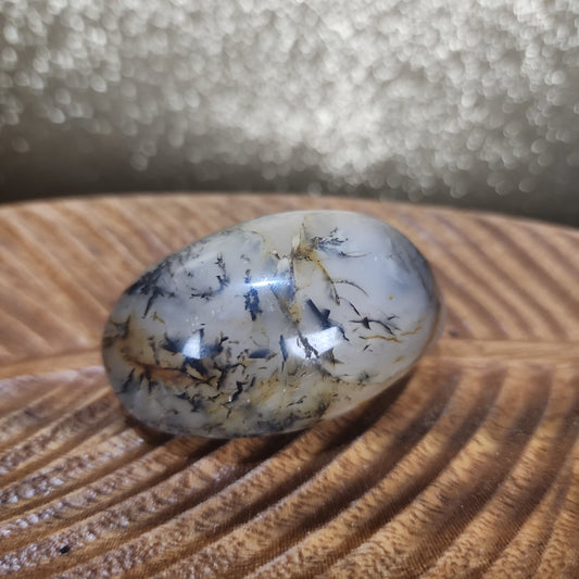 Dendritic Agate Palmstone - MagicBox Crystals