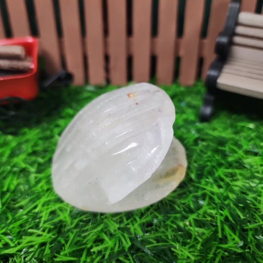 Ferruginous Quartz Clam Shell - MagicBox Crystals