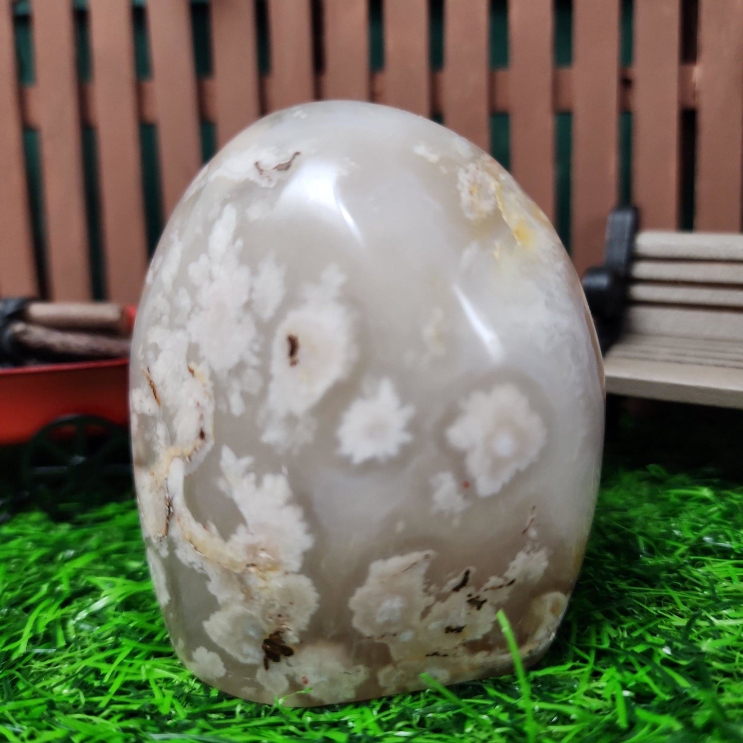 Flower Agate Freeform - MagicBox Crystals