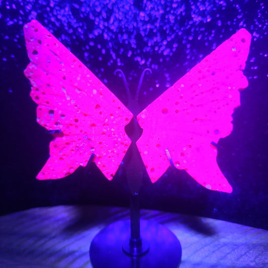 Honeycomb Ruby Butterfly Wings - MagicBox Crystals