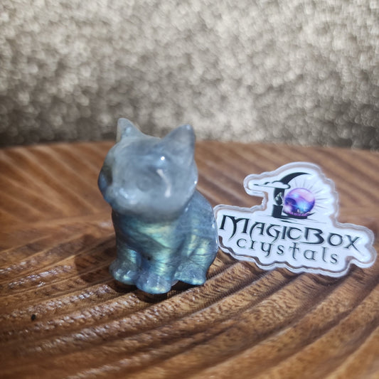 Labradorite Cat - MagicBox Crystals