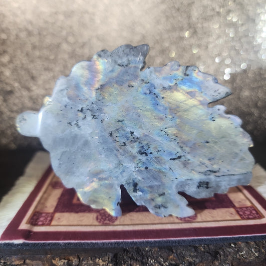 Labradorite Leaf - MagicBox Crystals