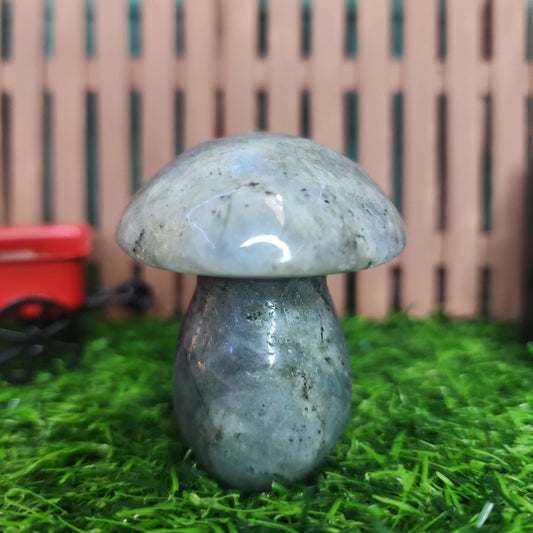 Labradorite Mushroom - MagicBox Crystals