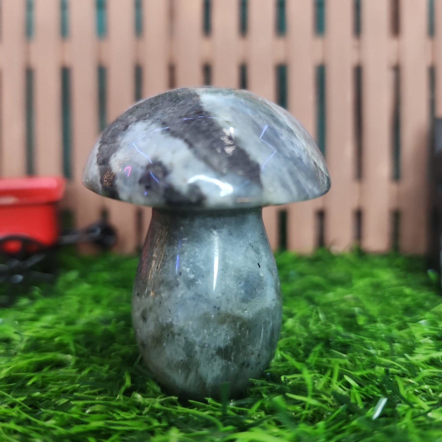 Labradorite Mushroom - MagicBox Crystals