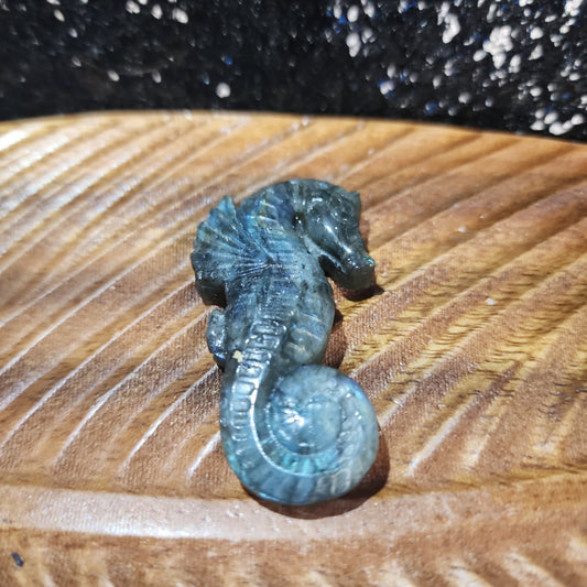 Labradorite Seahorse - MagicBox Crystals