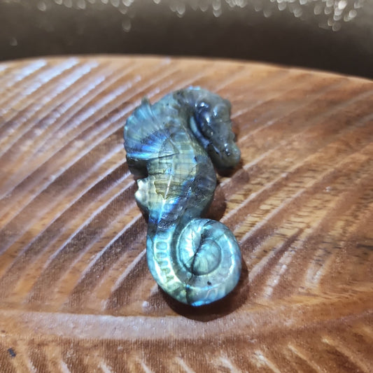 Labradorite Seahorse - MagicBox Crystals