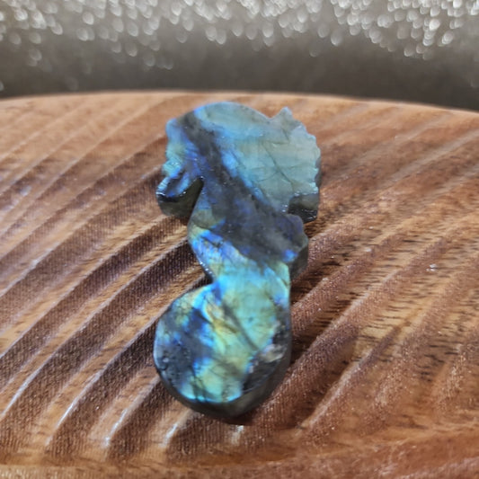 Labradorite Seahorse - MagicBox Crystals