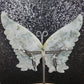 Moss Agate Butterfly Wings - MagicBox Crystals