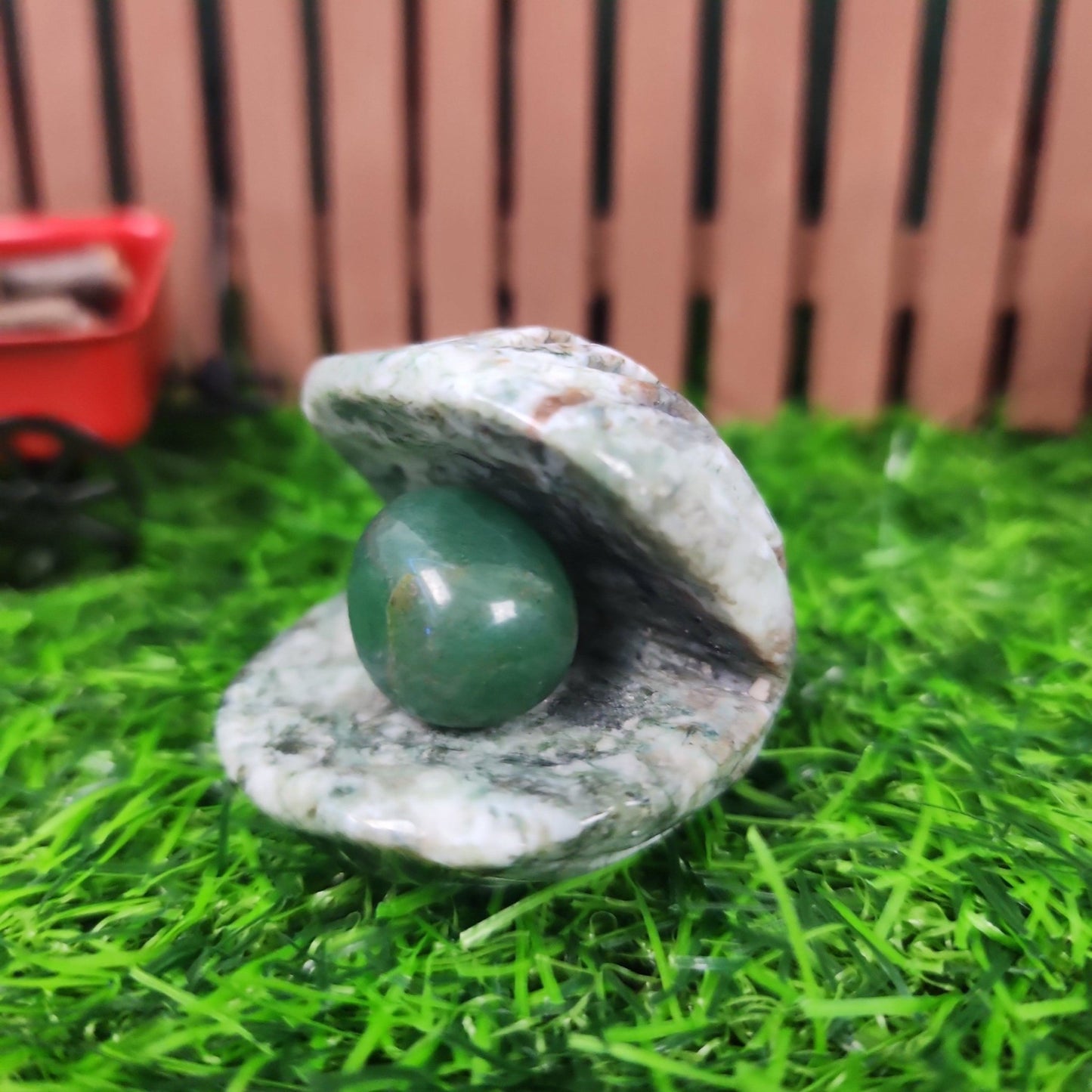 Moss Agate Clam Shell - MagicBox Crystals