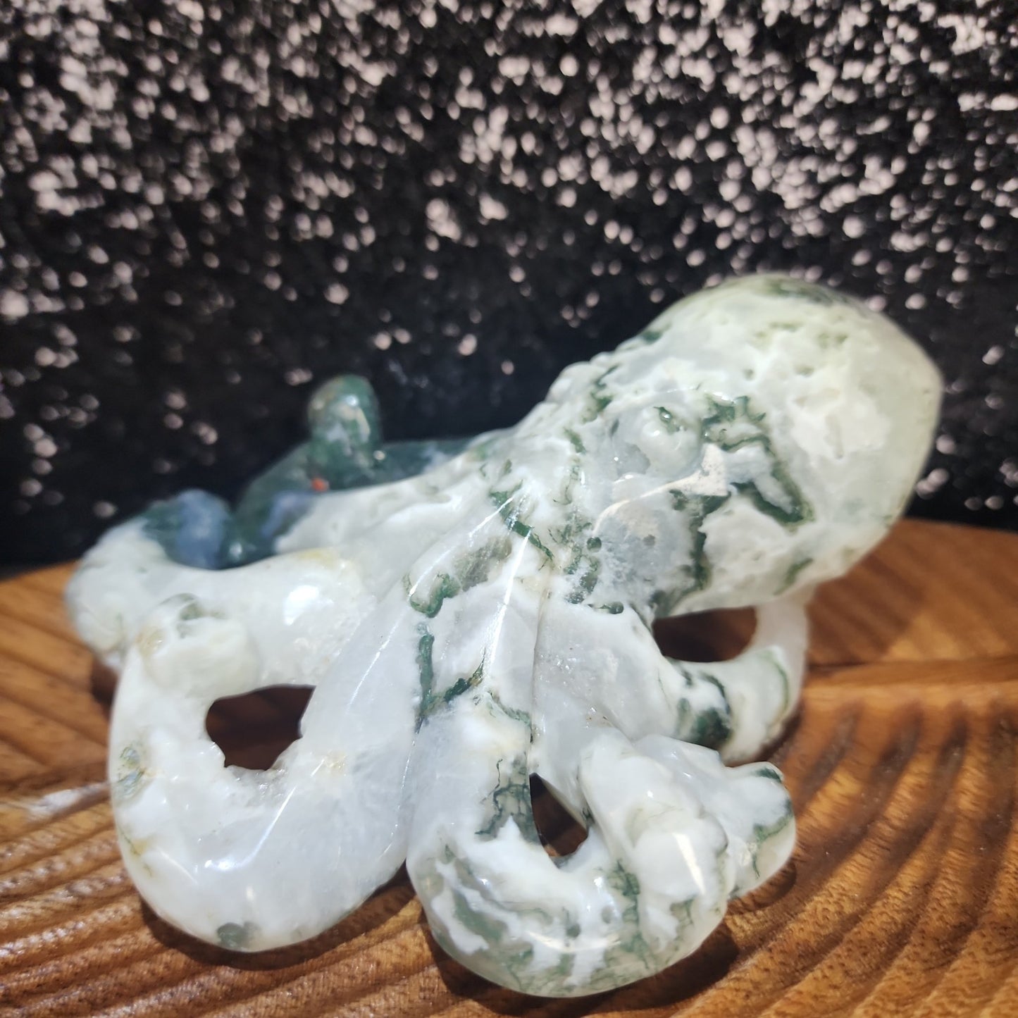 Moss Agate Octopus - MagicBox Crystals