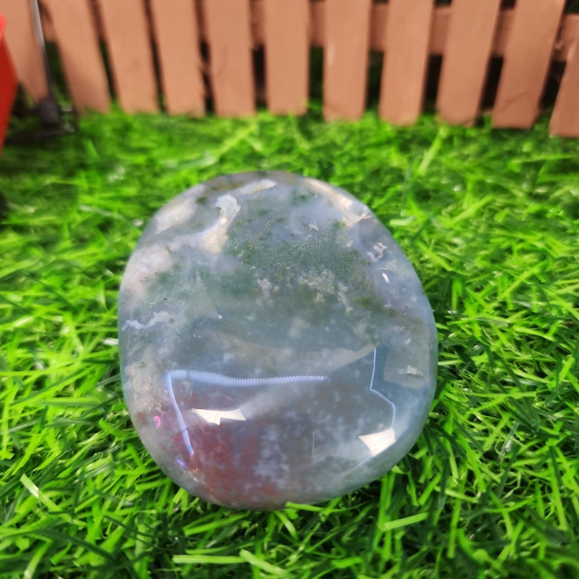 Moss Agate Palm Stone - MagicBox Crystals