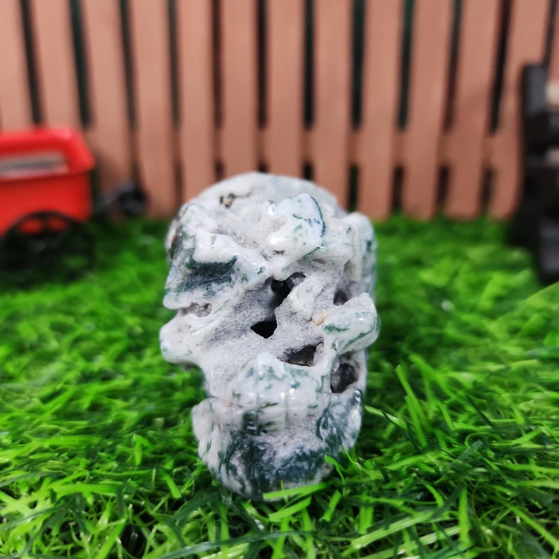 Moss Agate Skull - MagicBox Crystals