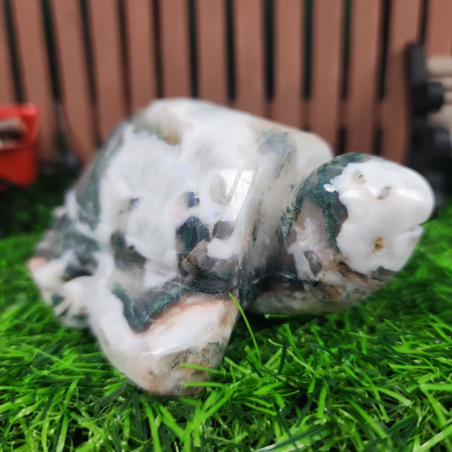 Moss Agate Turtle - MagicBox Crystals