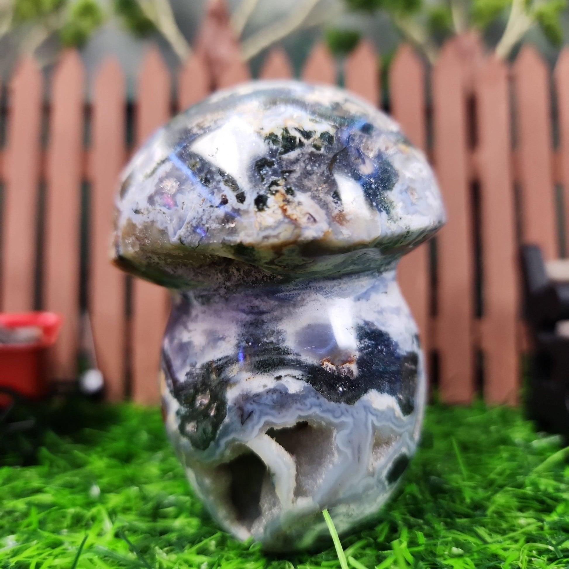 Ocean Jasper Mushroom - MagicBox Crystals