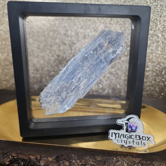 Raw Kyanite - MagicBox Crystals